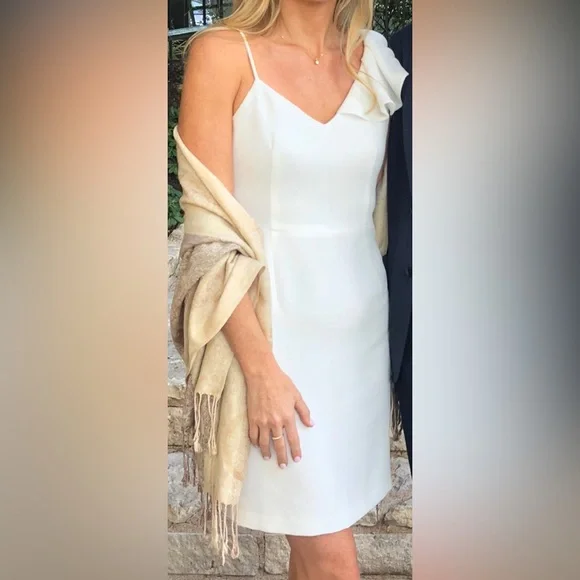 Club Monaco ruffle sleeve cocktail dress